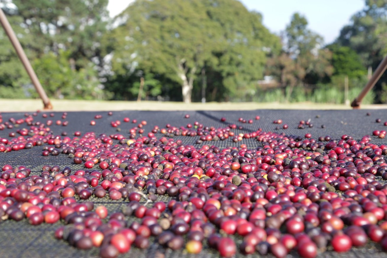 Arquivos Creches - Estadão Expresso São Paulo