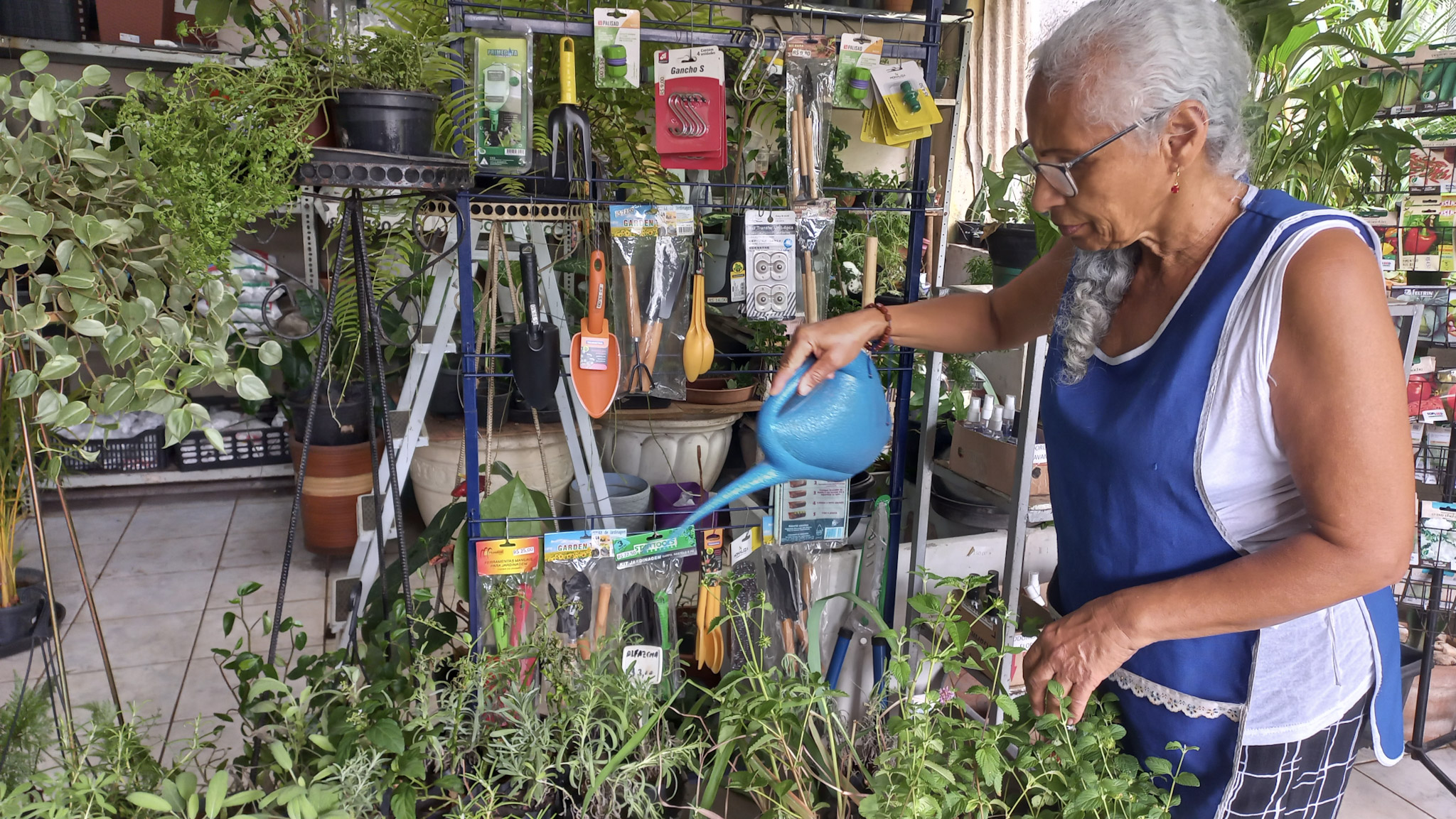 Mini-Curso: Desenho à Mão Livre no Paisagismo, Secretaria Municipal do  Verde e do Meio Ambiente