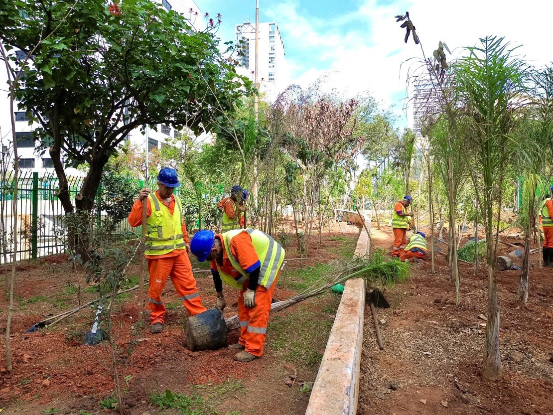 bosques urbanos