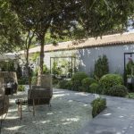 O jardim de Roberto Riscala tem 275 m² e une quatro casas com paredes verdes, uma coleção de suculentas e um nicho de ferro para as pancs. Foto: Zeca Wittner/Estadão