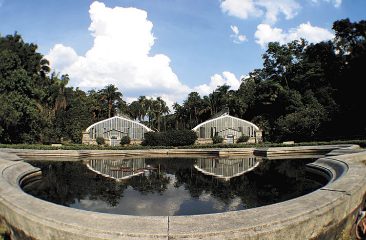 Jardim Botânico de São Paulo. Foto: JOSÉ PATRICIO/AE
