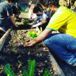 Na zona norte de São Paulo, bairro do Tremembé, o professor Wagner Ramalho criou o projeto Prato Verde Sustentável para produzir alimentos orgânicos no jardim Filhos da Terra. Foto: divulgação