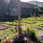 Na Bloco das Cores, no Jardim Rosana, estão oito canteiros de horta e, em breve, será montada uma escola de agricultura sustentável. Foto: Bloco das Cores/Divulgação