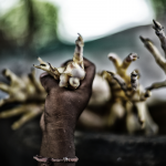 Mãos são Mãos: Quilombo das Pedras Negras, em Rondônia. Foto: Marcela Bonfim
