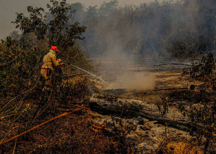 Foto de arquivo de incêndio no Pantanal. Crédito da imagem: Mayke Toscano/Secom (MT)/Agência Brasil